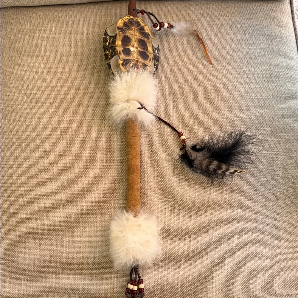 Natural Turtle Shell Reptile rattle